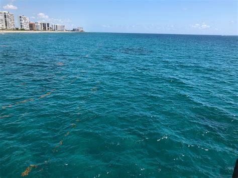 I 10 MIGLIORI Hotel con accesso disabili a Deerfield Beach (prezzi