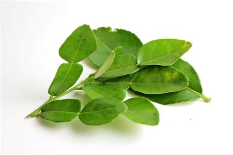 Leaves for added flavor: kaffir lime leaves, curry leaves ...