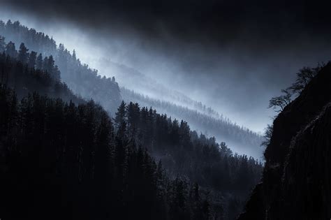 Dark Landscape With Foggy Forest Stock Photo Download Image Now Istock