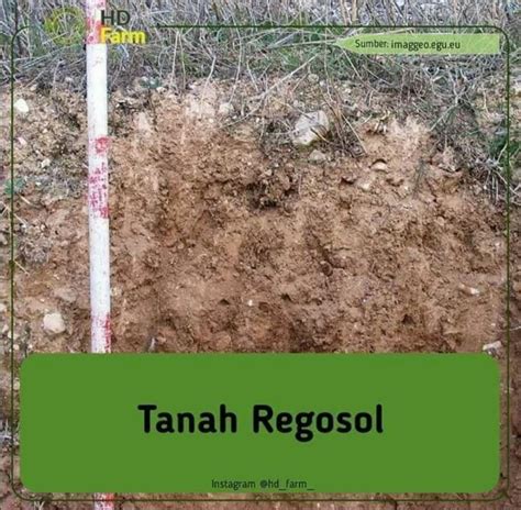 Jenis Tanah Tanaman Mengenal 5 Jenis Dan Karakter Tanah Mana Yang