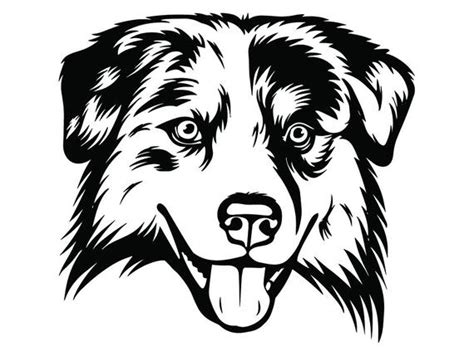 Check spelling or type a new query. Australian Shepherd 5 Smiling Aussie Dog Breed K-9 Animal ...
