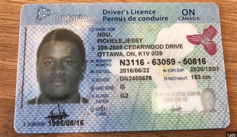 Buy Ukrainian Drivers License Online Buy Authentic Documents