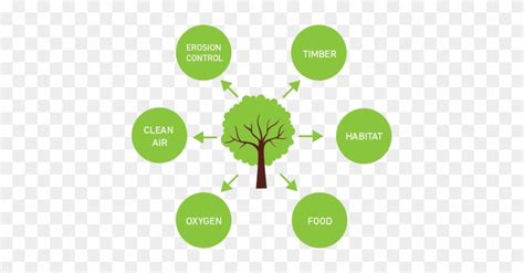 Benefits Of Planting Trees Benefits Of Planting Trees Free