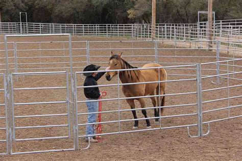 Ever, horses neither show following behaviour in a. Round Pens from Red River Arenas | Round Pens for Sale