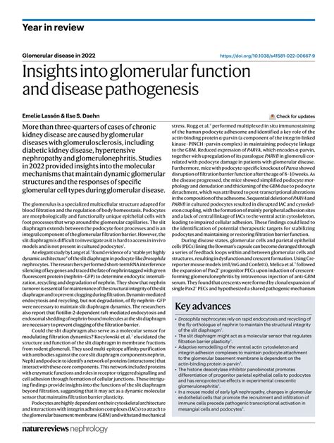 Pdf Insights Into Glomerular Function And Disease Pathogenesis