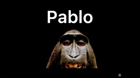 Pablo The Monkey Youtube