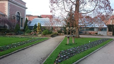 De Kruidtuin Van Leuven Is De Oudste Botanische Tuin Van België En
