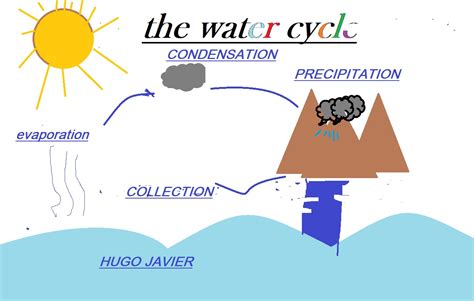 Simple Water Cycle Model