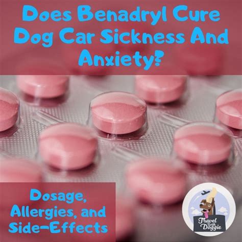 Does Benadryl Cure Dog Car Sickness And Anxiety Dosage Allergies And