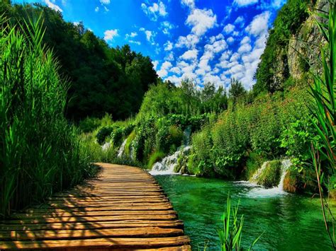 Wooden Pontoon In The Heaven Garden Hd Nature Landscape Description