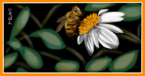 honey bee 2 drawings sketchport