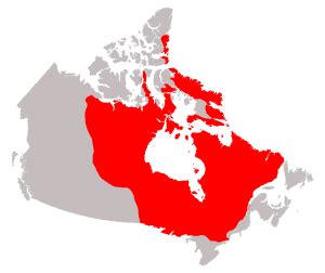 If you don't know, the cira is the 'canadian internet registration authority'. Canada's Physical Region - Huron Perth CDSB