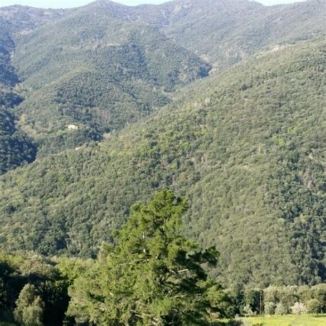 Maybe you would like to learn more about one of these? Montseny - 8 tips from 300 visitors