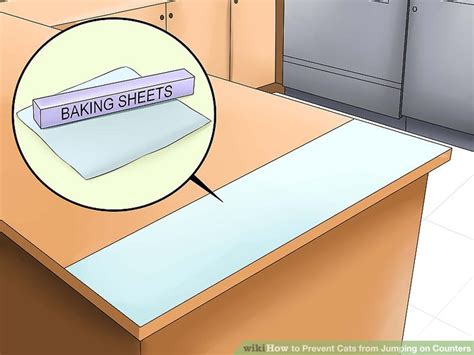 There might be moments when you might want to allow your furball to have free rein of the countertops, but there are also some instances when it's best to set up the kitty equivalent of a keep off sign. 3 Ways to Prevent Cats from Jumping on Counters - wikiHow