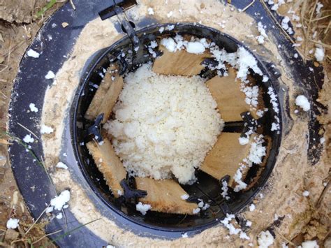 When it comes to pest control, who is financially responsible? Termite Bait Station Filled with Termite Bait | Termite ...