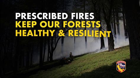 Prescribed Fires Reduce Wildfire Fuel Youtube