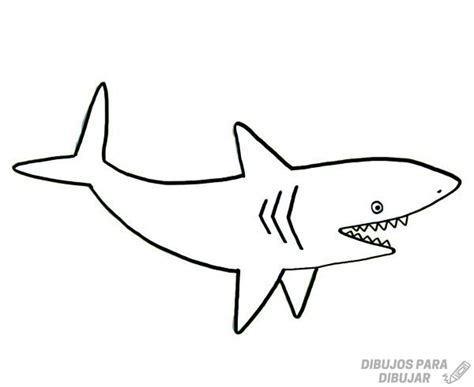 Los Mejores Dibujos De Tiburones Sencillos