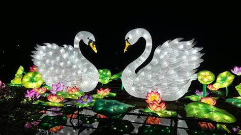 This article is part of a series on. Chinese Lantern Festival 2018 Cary, NC - YouTube
