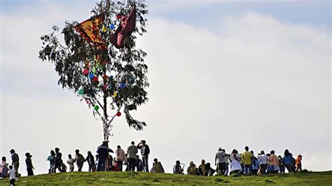 Qué Es Una “yunza” Y Cómo Se Celebra En Perú Infobae
