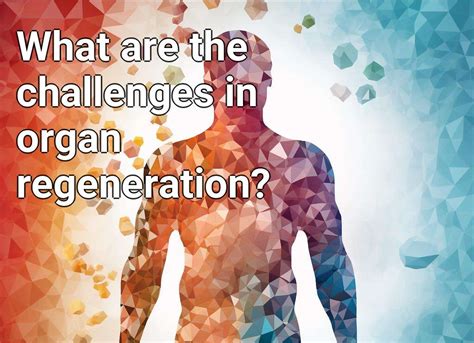 What Are The Challenges In Organ Regeneration Lifeextensiongovcapital