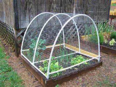 Creative gardening ideas inspire me. Raised Bed Garden Fencing Ideas | The Interior Design ...