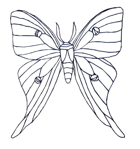 The coloring page comes with 300 dpi and works great with 8.5x11inches or a4. Free coloring pages of luna moth | Colorful moths ...