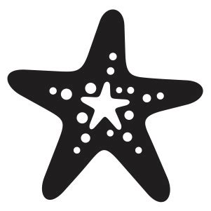 Starfish Vector Svg - 151+ Crafter Files