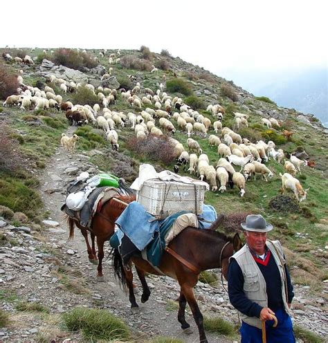 Casa de alquiler vacacional (3). Turismo rural y senderismo en Sierra Nevada (Andalucía ...