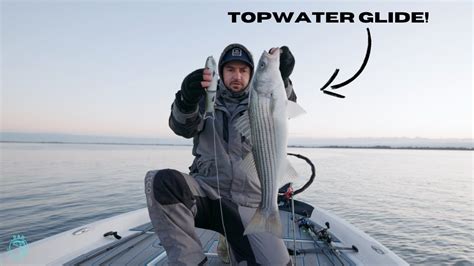 Late Fall Topwater Striped Bass Fishing California Delta YouTube