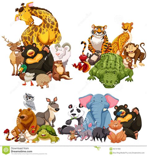 Four Group Of Wild Animals Stock Vector Illustration Of