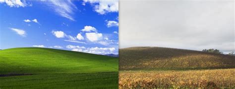 Windows Xp Wallpaper In Real Life 1200x630 Wallpaper