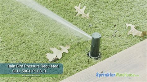 How To Adjust Rain Bird 5000 Plus Sprinkler Heads
