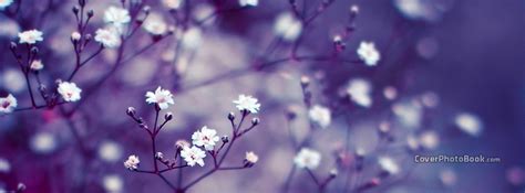 It is the leaves that people really love, coming in various colors and sizes. White Flowers on Branches Purple Facebook Cover - Nature