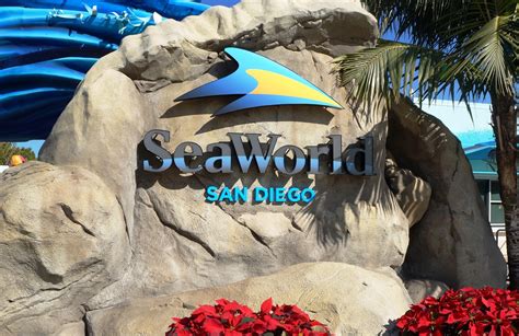 Seaworld San Diego Guide