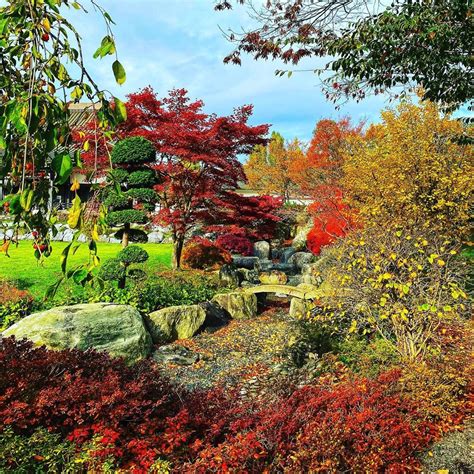 Maybe you would like to learn more about one of these? Nordpark Düsseldorf Japanischer Garten | Germany Garten
