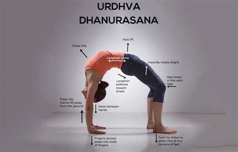 Chakrasana Wheel Pose Steps Precautions Benefits Finess Yoga