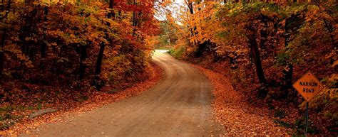 Top 5 Autumn Driving Tips For Fall 2017