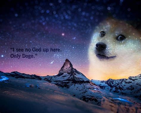 Free Download Doge Wallpaper Meme Wallpapers 27299 1680x1050 For Your