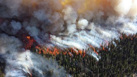 Summer Wildfires In The Arctic Circle Set New Emissions Record Wwf Arctic