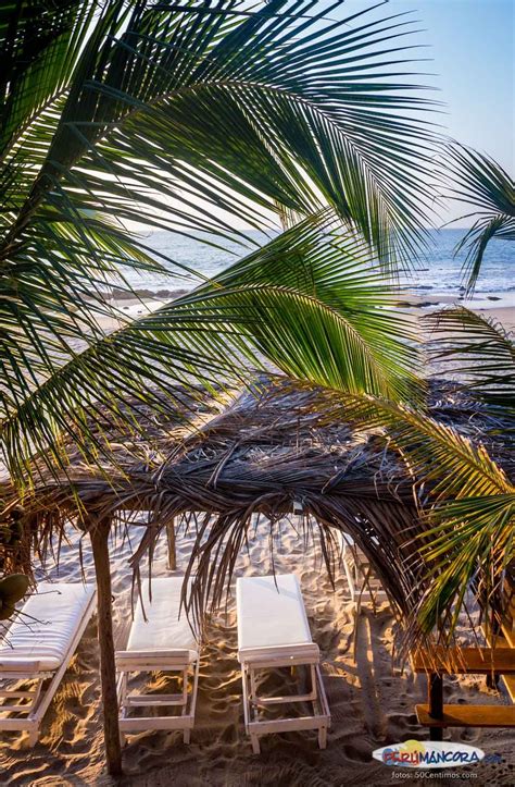 Casa rita is at casa rita. Casa Delfín Perumancora.com | Casas, Delfines