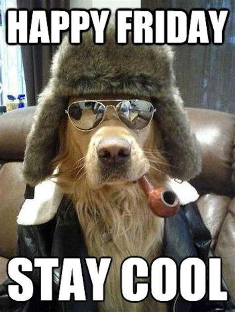 Happy Friday Stay Cool Pictures Photos And Images For