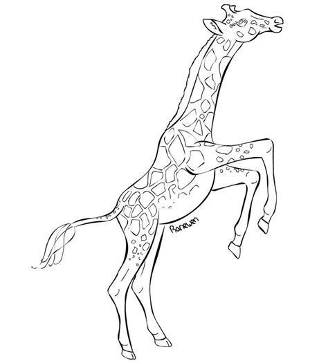 Newer post older post home. Giraffe Face Drawing at GetDrawings | Free download