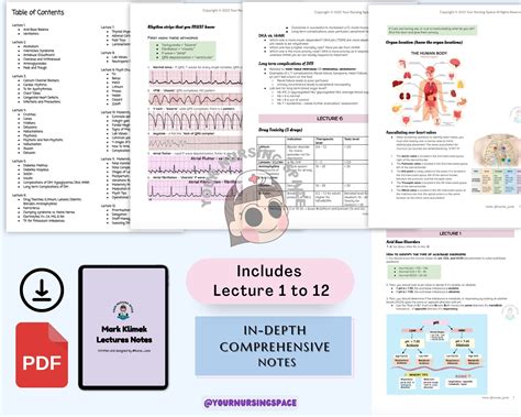 Best Mark Klimek NCLEX Comprehensive Review Notes for Next Gen - Etsy
