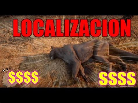 ← top 3 лучшие ружья rdr2 и как их получить. PUMA RDR2 ONLINE UBICACION Y LOCALIZACION DE PUMA EN RED ...
