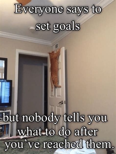 41 Goals Memes To Inspire A Successful 2023 Freejoint
