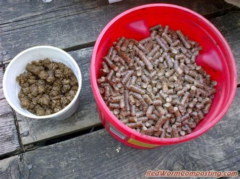 How To Use Horse Bedding Pellets For Cat Litter Bedding Design Ideas