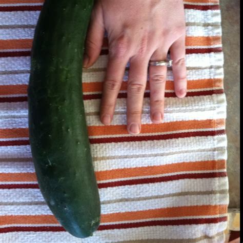Cucumber From My Garden I Ve Had Two Huge Cukes So Far Over A Pound Each 6 16 12 Stuffed