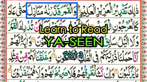 Surah Yaseen Hd Text Part 3 Learn To Read Quran Learn Word By Word In