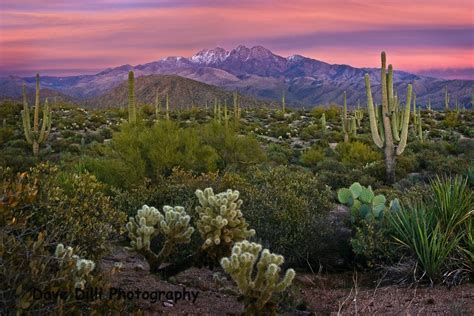 Sonoran Desert W Four Peaks In The Background Arizona Photography