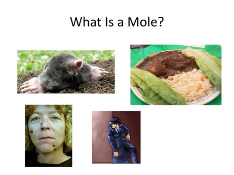 Ppt What Is A Mole Powerpoint Presentation Free Download Id1979921